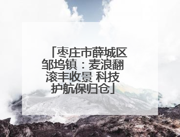 枣庄市薛城区邹坞镇：麦浪翻滚丰收景 科技护航保归仓