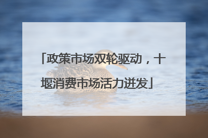 政策市场双轮驱动，十堰消费市场活力迸发