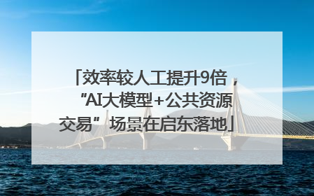 效率较人工提升9倍，“AI大模型+公共资源交易”场景在启东落地