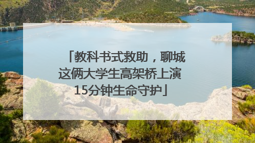 教科书式救助，聊城这俩大学生高架桥上演15分钟生命守护