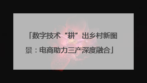 数字技术“耕”出乡村新图景：电商助力三产深度融合