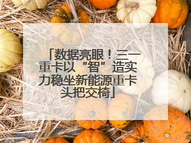 数据亮眼！三一重卡以“智”造实力稳坐新能源重卡头把交椅