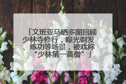 文班亚马晒多图回顾少林寺修行，曝光剃发、练功等场景，被戏称“少林第一高僧”