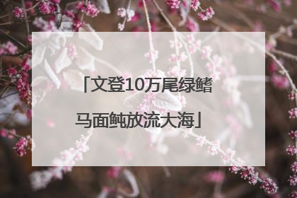 文登10万尾绿鳍马面鲀放流大海