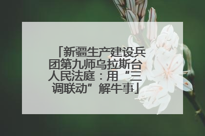 新疆生产建设兵团第九师乌拉斯台人民法庭：用“三调联动”解牛事