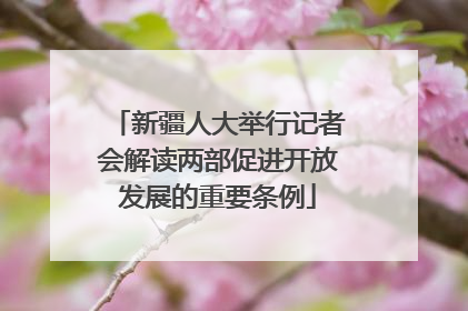 新疆人大举行记者会解读两部促进开放发展的重要条例