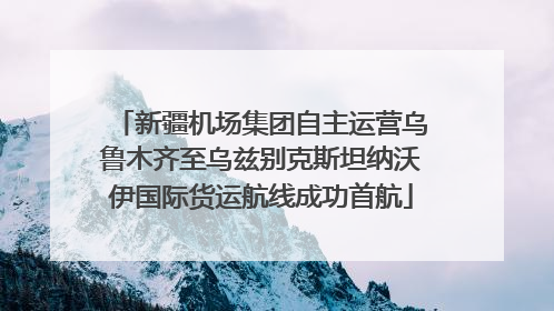 新疆机场集团自主运营乌鲁木齐至乌兹别克斯坦纳沃伊国际货运航线成功首航