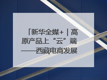 新华全媒+｜高原产品上“云”端——西藏电商发展一线观察