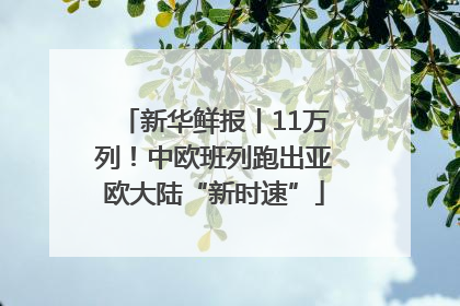 新华鲜报丨11万列！中欧班列跑出亚欧大陆“新时速”