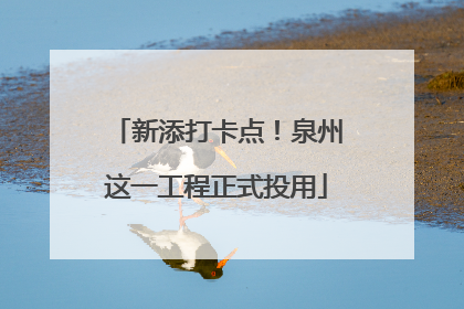 新添打卡点！泉州这一工程正式投用