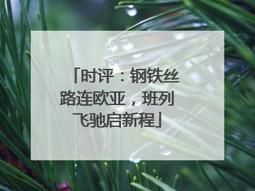 时评：钢铁丝路连欧亚，班列飞驰启新程