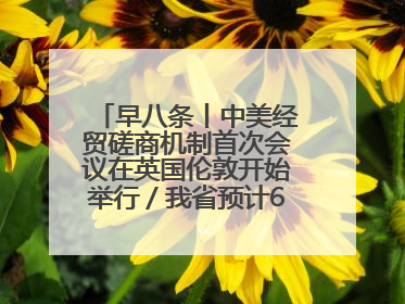 早八条丨中美经贸磋商机制首次会议在英国伦敦开始举行／我省预计6月25日公布高考成绩与录取最低控制分数线