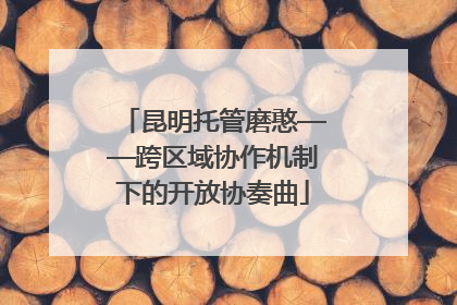昆明托管磨憨——跨区域协作机制下的开放协奏曲