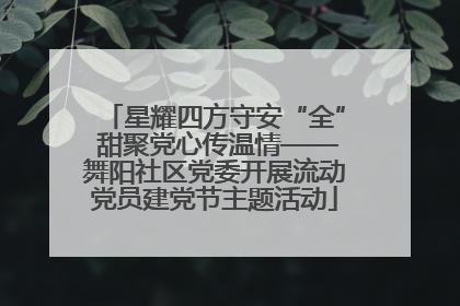 星耀四方守安“全” 甜聚党心传温情——舞阳社区党委开展流动党员建党节主题活动