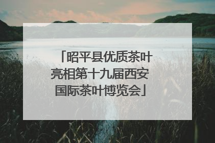 昭平县优质茶叶亮相第十九届西安国际茶叶博览会