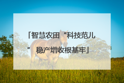 智慧农田“科技范儿” 稳产增收根基牢