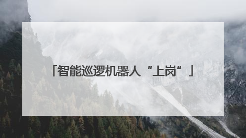 智能巡逻机器人“上岗”
