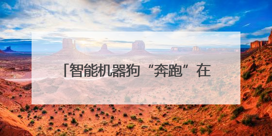 智能机器狗“奔跑”在深圳这片创业热土上