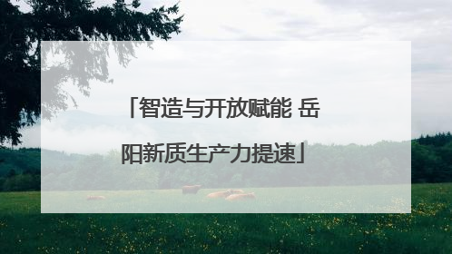 智造与开放赋能 岳阳新质生产力提速