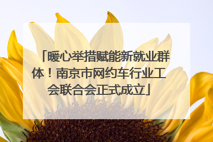 暖心举措赋能新就业群体！南京市网约车行业工会联合会正式成立
