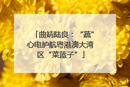 曲靖陆良：“蔬”心电护航粤港澳大湾区“菜篮子”