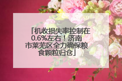 机收损失率控制在0.6%左右！济南市莱芜区全力确保粮食颗粒归仓
