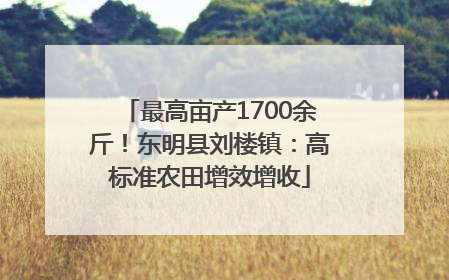最高亩产1700余斤！东明县刘楼镇：高标准农田增效增收