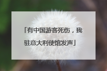 有中国游客死伤，我驻意大利使馆发声