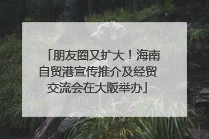 朋友圈又扩大！海南自贸港宣传推介及经贸交流会在大阪举办