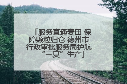 服务直通麦田 保障颗粒归仓 德州市行政审批服务局护航“三夏”生产