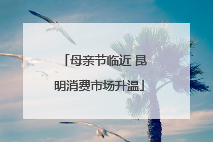 母亲节临近 昆明消费市场升温