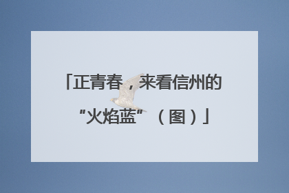 正青春，来看信州的“火焰蓝”（图）