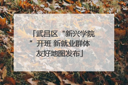 武昌区“新兴学院”开班 新就业群体友好地图发布