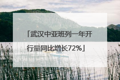 武汉中亚班列一年开行量同比增长72%