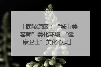 武陵源区：“城市美容师”美化环境 “健康卫士”美化心灵