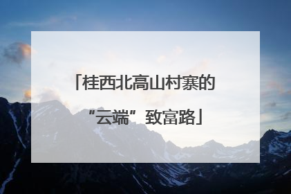 桂西北高山村寨的“云端”致富路