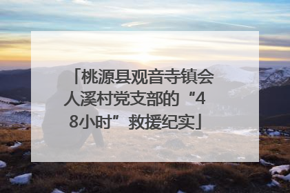 桃源县观音寺镇会人溪村党支部的“48小时”救援纪实