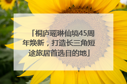 桐庐瑶琳仙境45周年焕新，打造长三角短途旅居首选目的地