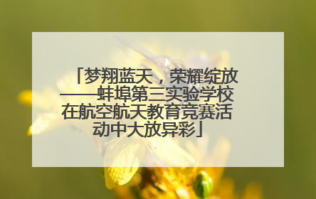 梦翔蓝天，荣耀绽放——蚌埠第三实验学校在航空航天教育竞赛活动中大放异彩