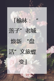 榆林：“落子”老城焕新 “盘活”文旅蝶变