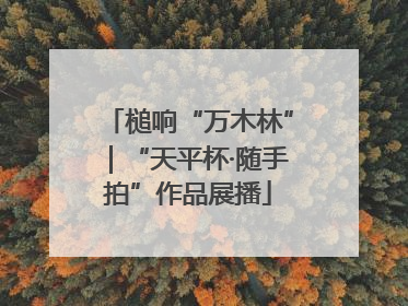 槌响“万木林”｜“天平杯·随手拍”作品展播