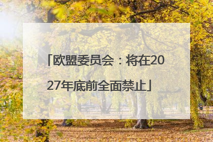 欧盟委员会：将在2027年底前全面禁止