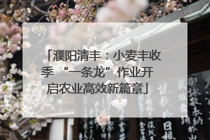 濮阳清丰：小麦丰收季 “一条龙”作业开启农业高效新篇章