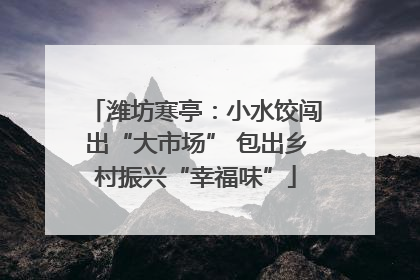 潍坊寒亭：小水饺闯出“大市场” 包出乡村振兴“幸福味”