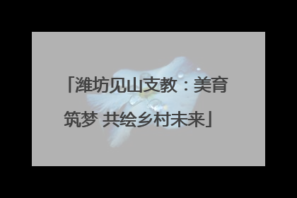 潍坊见山支教：美育筑梦 共绘乡村未来
