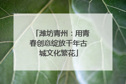 潍坊青州：用青春创意绽放千年古城文化繁花