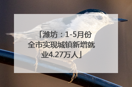 潍坊：1-5月份全市实现城镇新增就业4.27万人