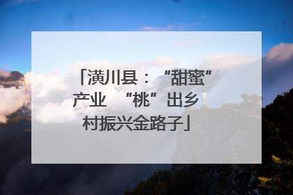 潢川县：“甜蜜”产业  “桃”出乡村振兴金路子