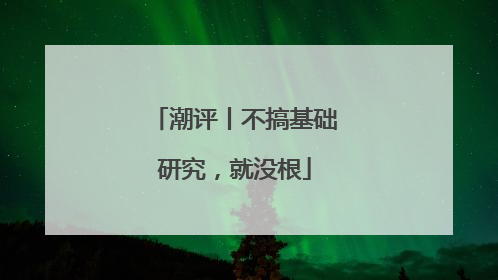 潮评丨不搞基础研究，就没根
