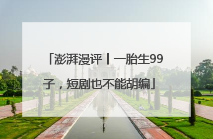 澎湃漫评丨一胎生99子，短剧也不能胡编